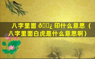 八字里面 🌿 印什么意思（八字里面白虎是什么意思啊）